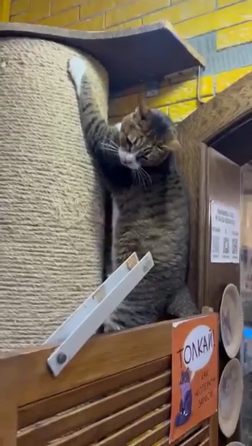 Лорд — видео 2