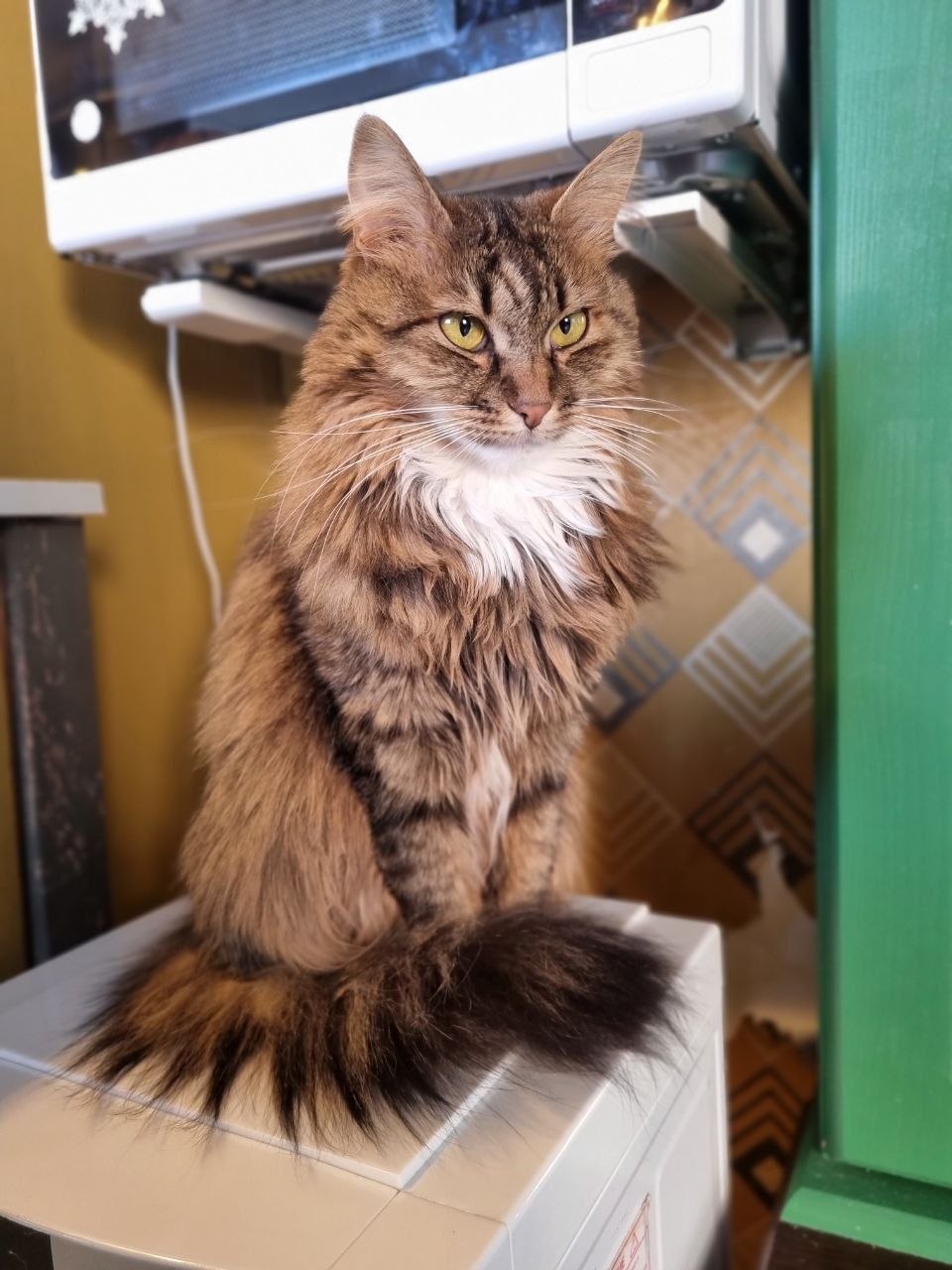 Вивьен