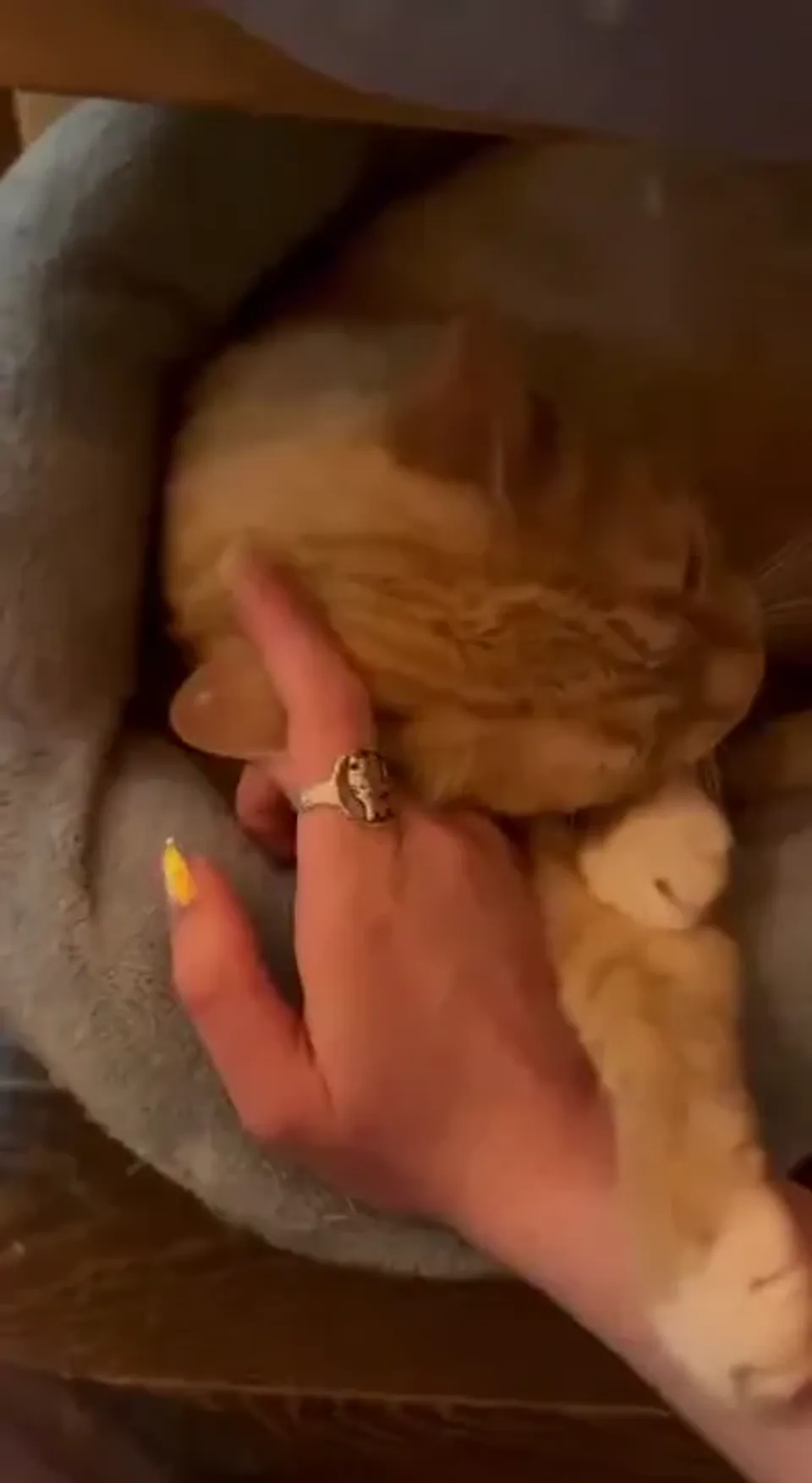Касандра — видео 2