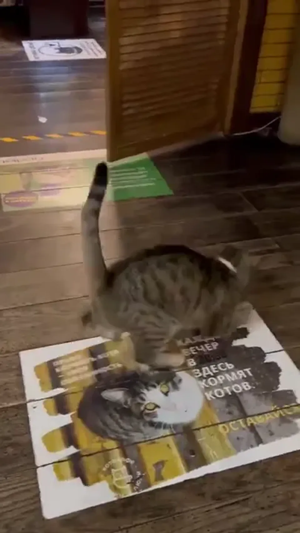 Барби — видео 6