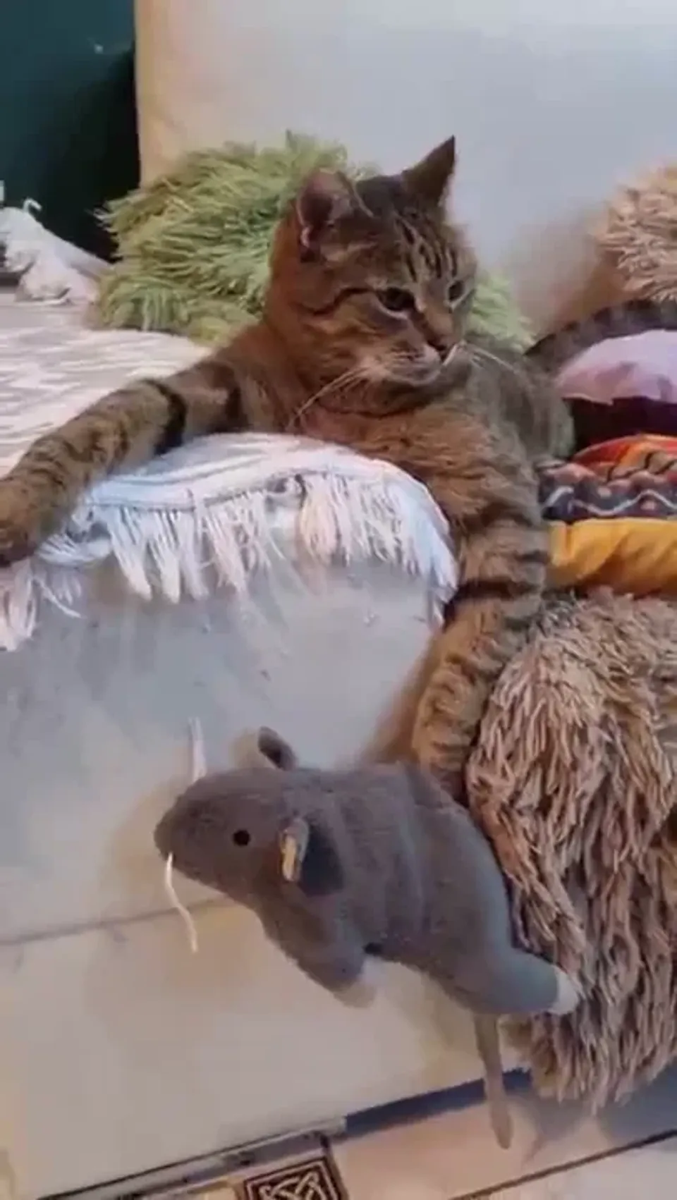 Фредди — видео 2