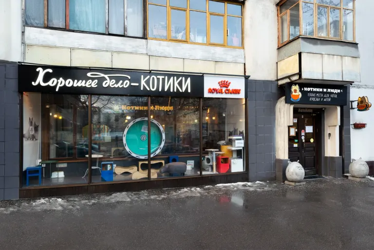 Интерьер котокафе на Гиляровского